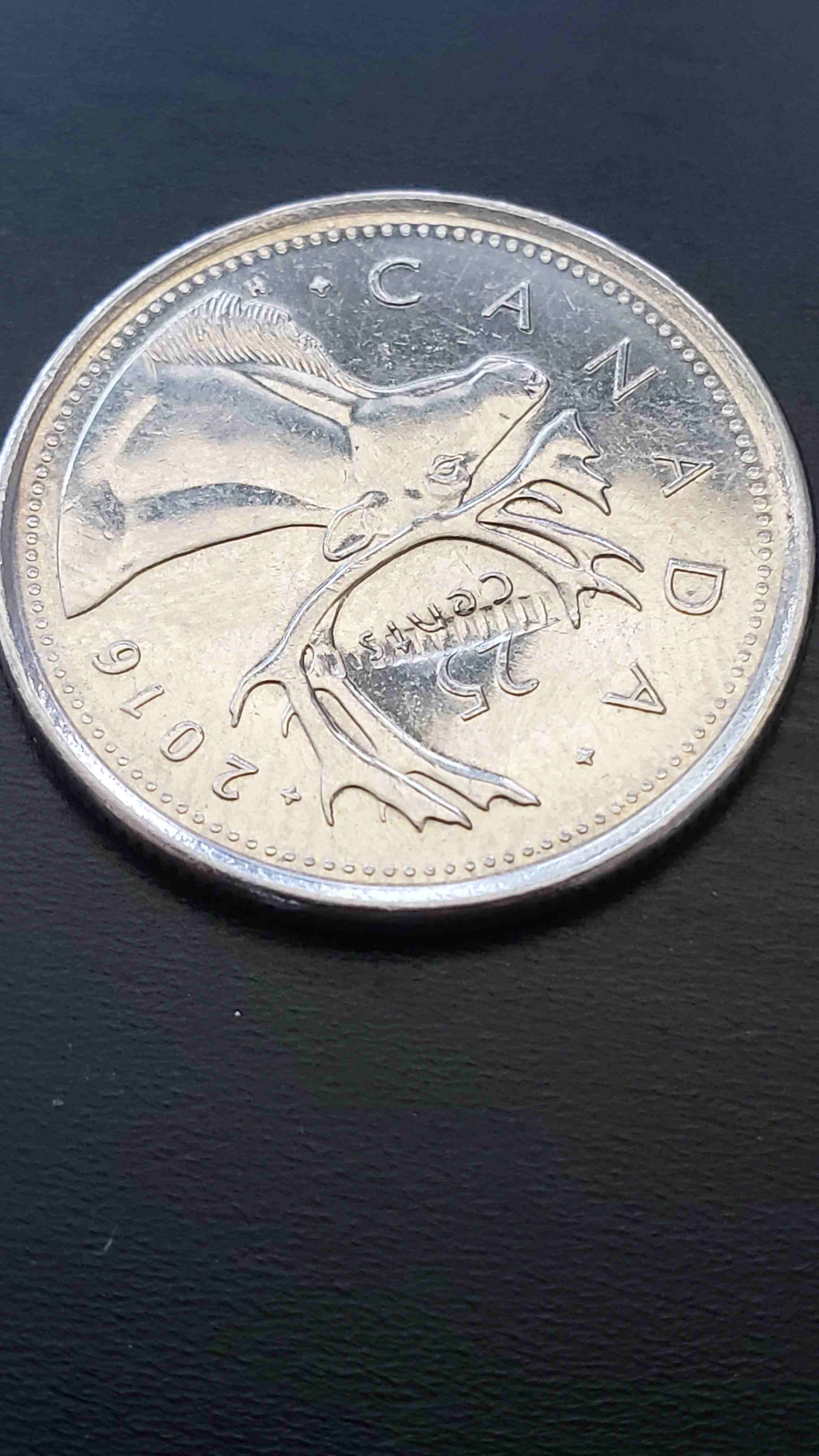 Found-This-2016-Quarter-With-Some-Odd-Damage